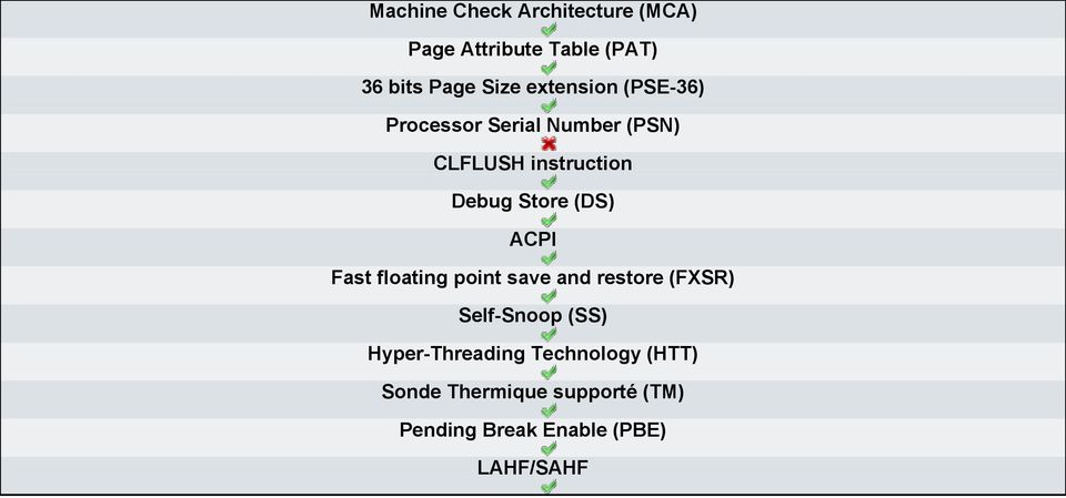 (DS) ACPI Fast floating point save and restore (FXSR) Self-Snoop (SS)