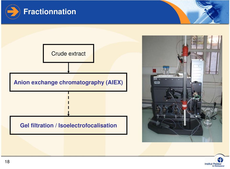 chromatography (AIEX) Gel