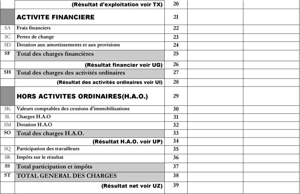 ACTIVITES ORDINAIRES(H.A.O.) 29 SK Valeurs comptables des cessions d'immobilisations 30 SL Charges H.A.O 31 SM Dotation H.A.O 32 SO Total des charges H.A.O. 33 (Résultat H.