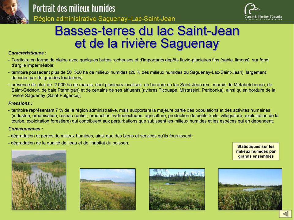 - présence de plus de 2 000 ha de marais, dont plusieurs localisés en bordure du lac Saint-Jean (ex.