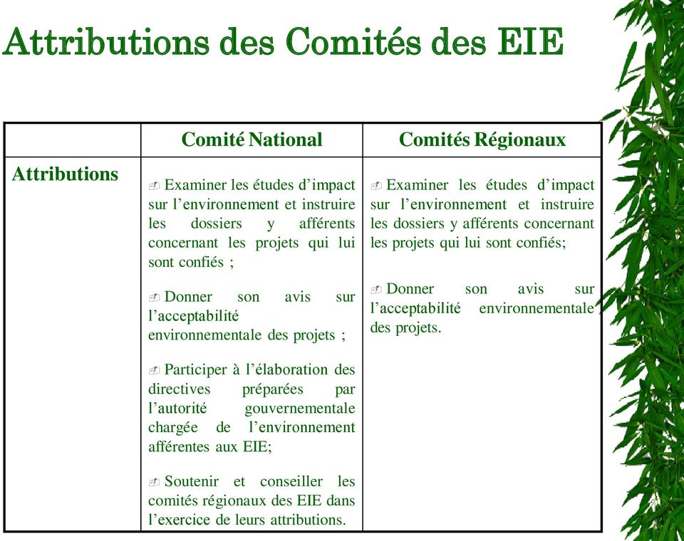 chargée de l environnement afférentes aux EIE; Soutenir et conseiller les comités régionaux des EIE dans l exercice de leurs attributions.