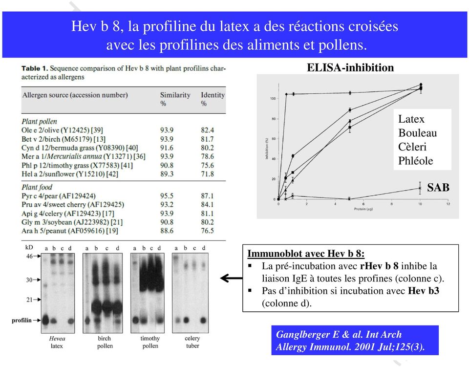 ELISA-inhibition Latex Bouleau Cèleri Phléole SAB Immunoblot avec Hev b 8: La pré-incubation