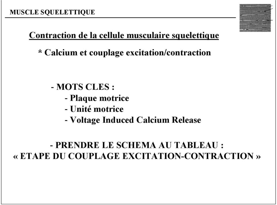 - Unité motrice - Voltage Induced Calcium Release - PRENDRE LE