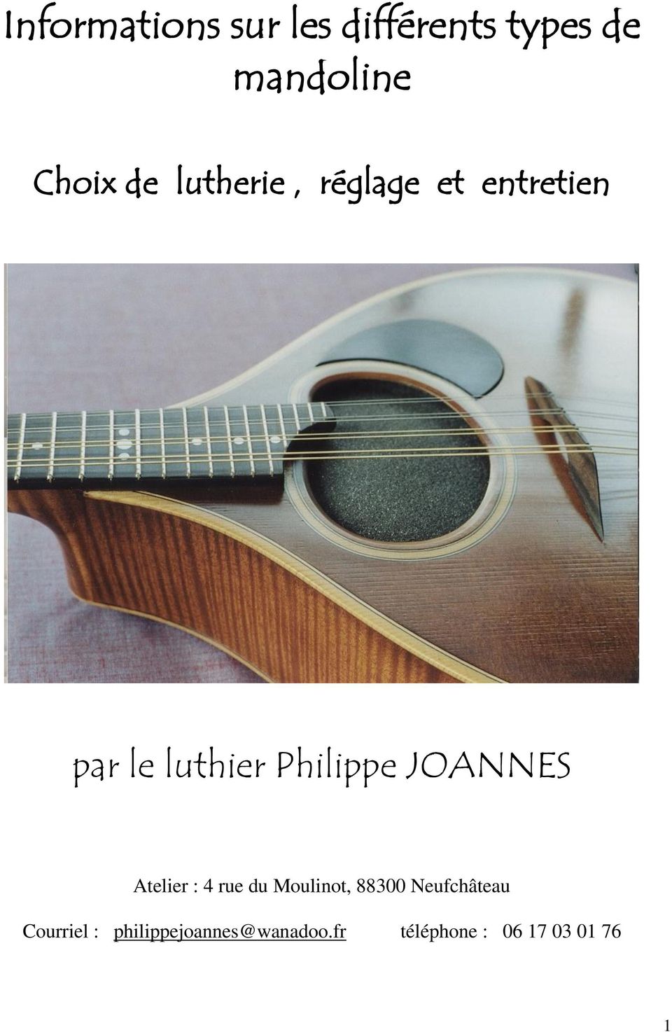 guitare, mandoline, instruments du monde du luthier Philippe Joannès