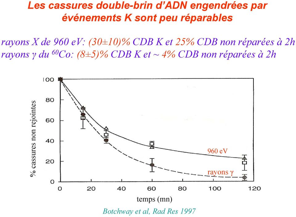 2h rayons γ du 60 Co: (8±5)% CDB K et ~ 4% CDB non réparées à 2h %
