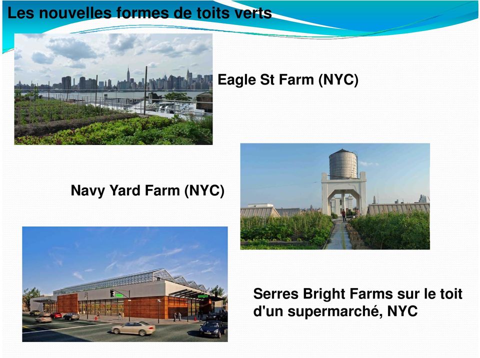 Yard Farm (NYC) Serres Bright