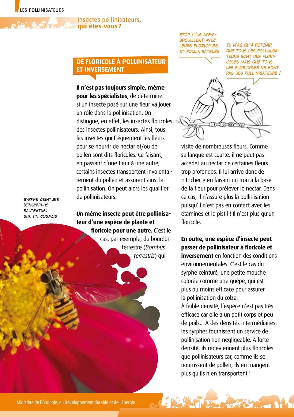 On distingue, en effet, les insectes floricoles des insectes pollinisateurs. Ainsi, tous les insectes qui fréquentent les fleurs pour se nourrir de nectar et/ou de pollen sont dits floricoles.