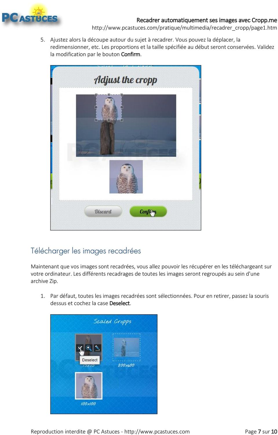 Télécharger les images recadrées Maintenant que vos images sont recadrées, vous allez pouvoir les récupérer en les téléchargeant sur votre ordinateur.