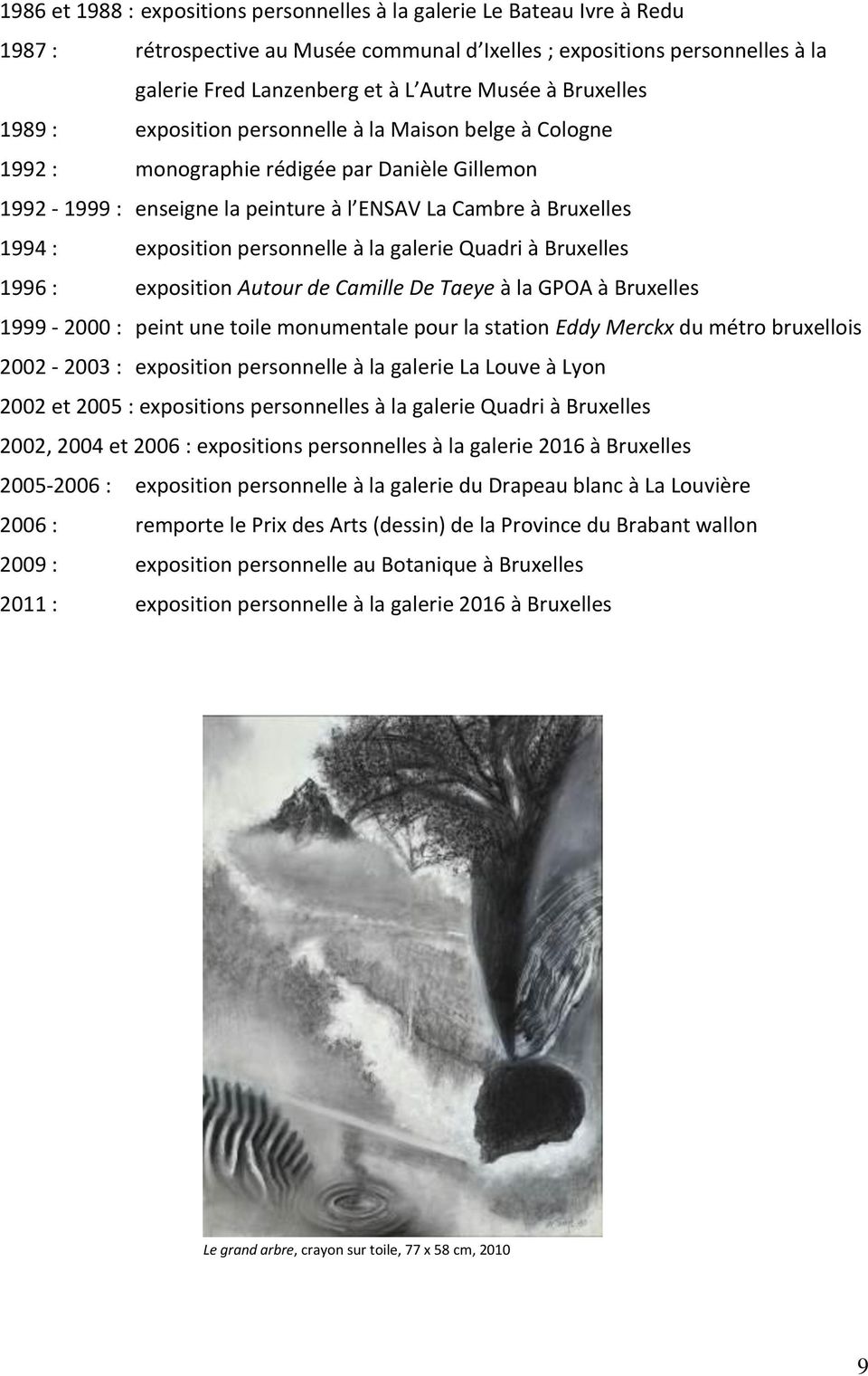 exposition personnelle à la galerie Quadri à Bruxelles 1996 : exposition Autour de Camille De Taeye à la GPOA à Bruxelles 1999-2000 : peint une toile monumentale pour la station Eddy Merckx du métro