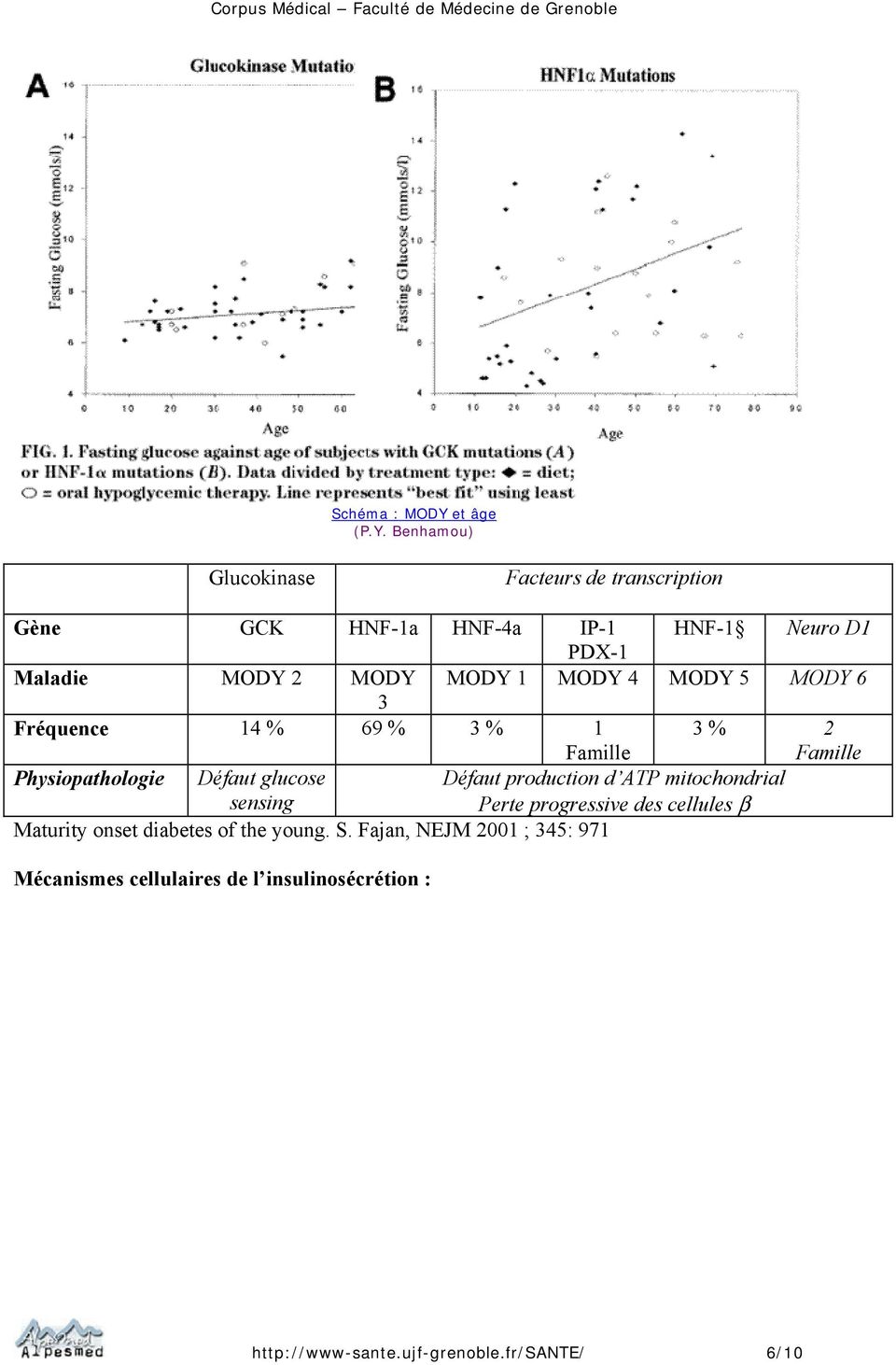 Benhamou) Glucokinase Facteurs de transcription Gène GCK HNF-1a HNF-4a IP-1 HNF-1 Neuro D1 PDX-1 Maladie MODY 2 MODY MODY 1