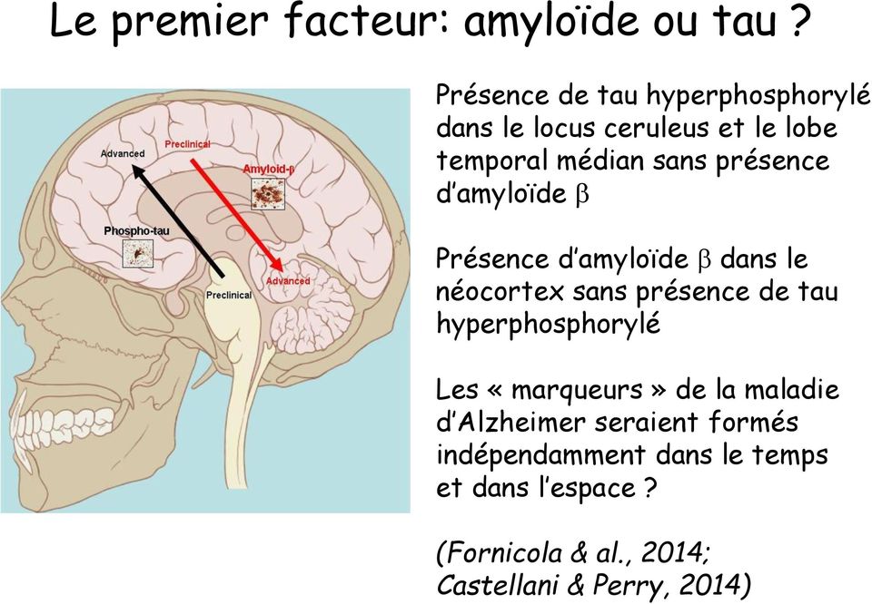 présence d amyloïde Présence d amyloïde dans le néocortex sans présence de tau