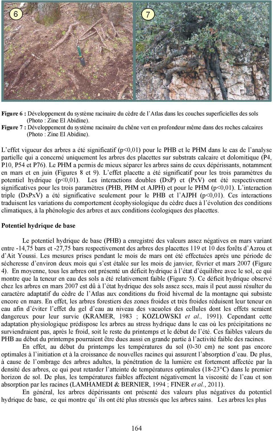 L effet vigueur des arbres a été significatif (p<0,01) pour le PHB et le PHM dans le cas de l analyse partielle qui a concerné uniquement les arbres des placettes sur substrats calcaire et