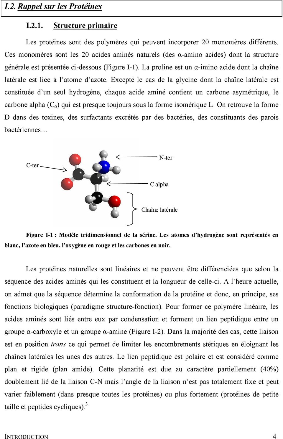 La proline est un α-imino acide dont la chaîne latérale est liée à l atome d azote.