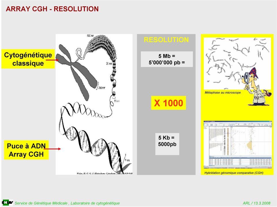 ADN ArrayCGH 5 Kb = 5000pb Weier, H.-U. G. J. Histochem.