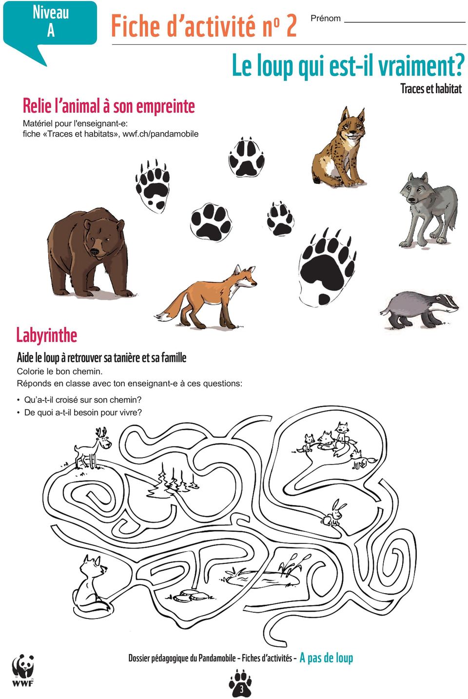 Traces et habitat Labyrinthe Aide le loup à retrouver sa tanière et sa famille Colorie le bon