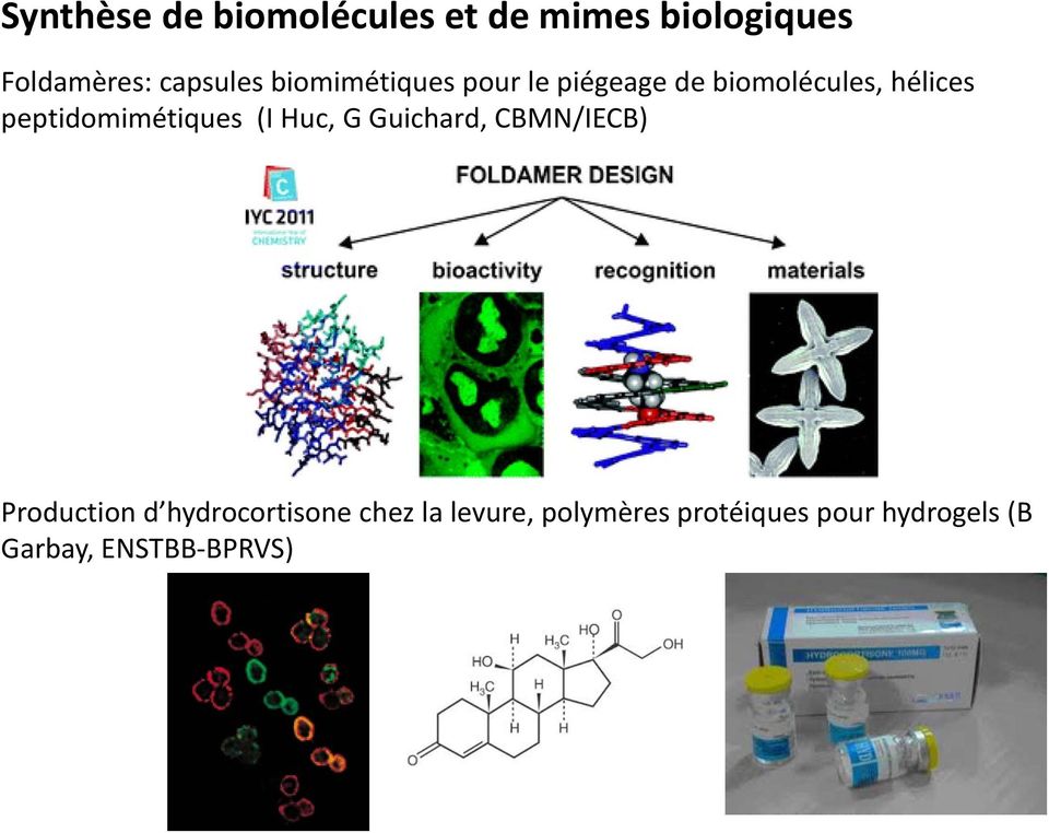 peptidomimétiques (I Huc, G Guichard, CBMN/IECB) Production d