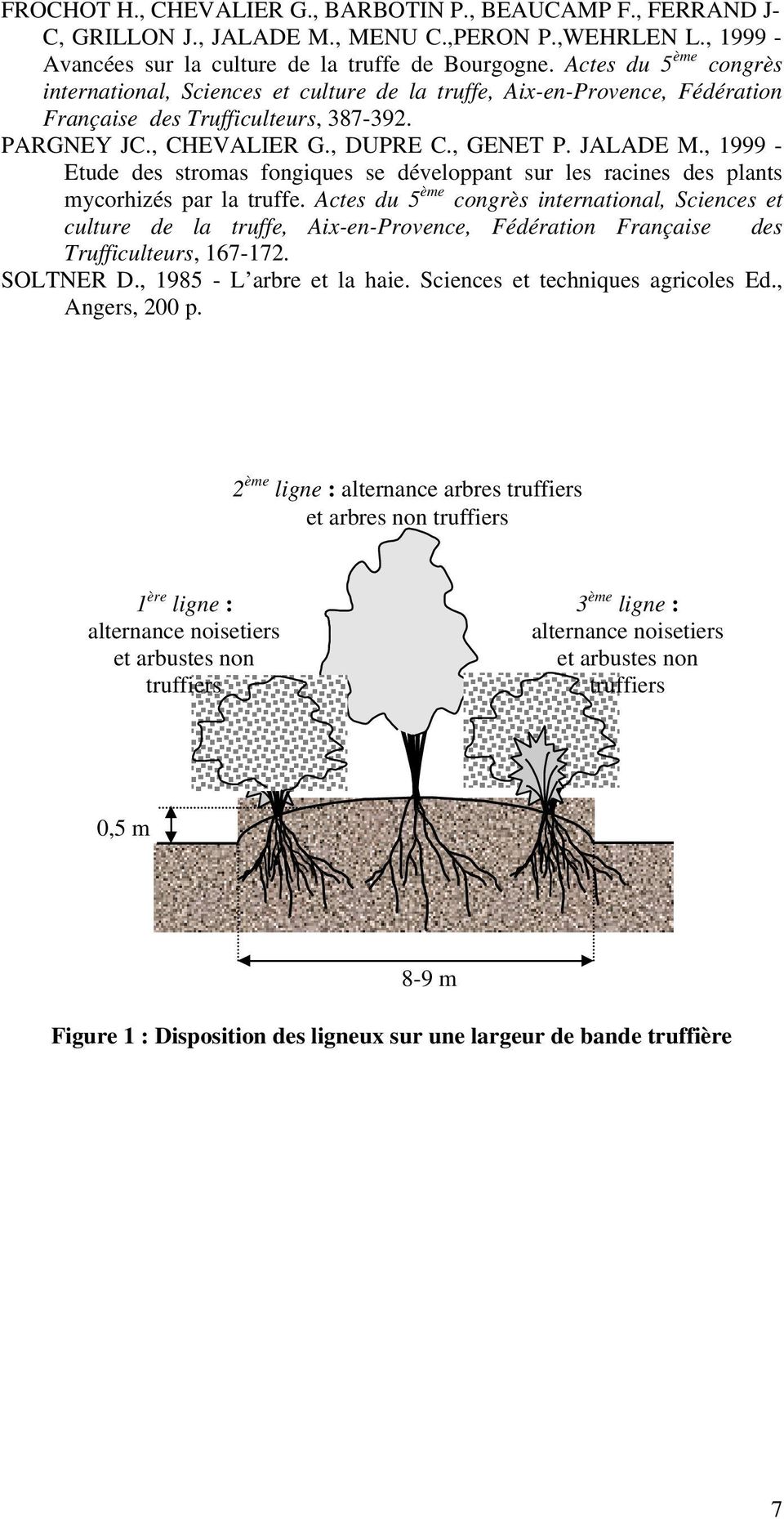 , 1999 - Etude des stromas fongiques se développant sur les racines des plants mycorhizés par la truffe.