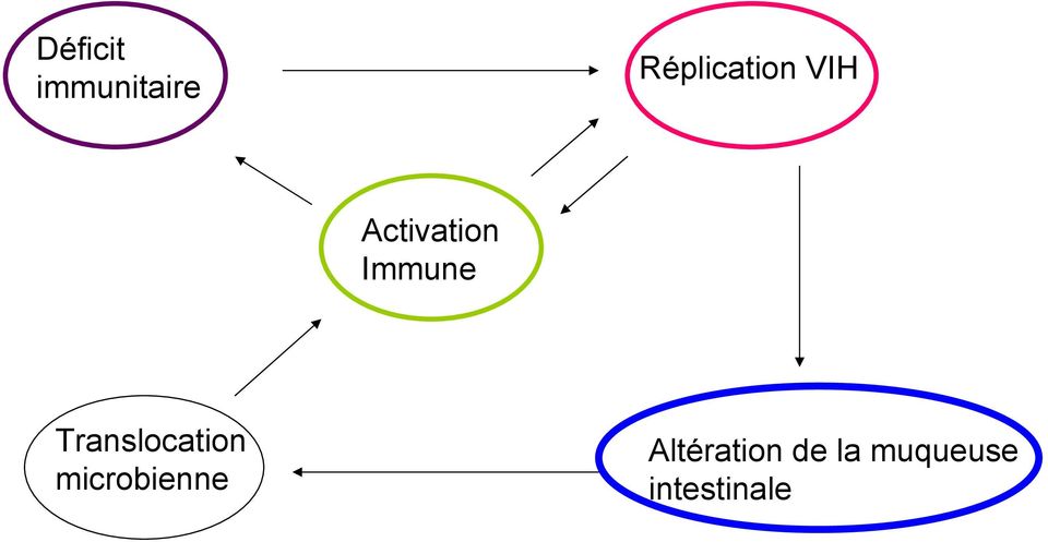 Immune Translocation