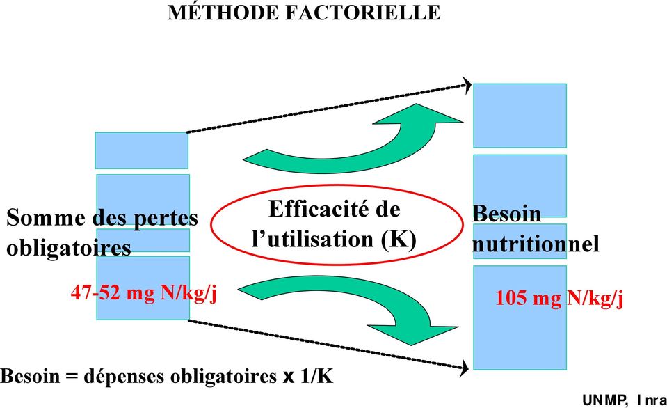 (K) Besoin nutritionnel 47-52 mg N/kg/j