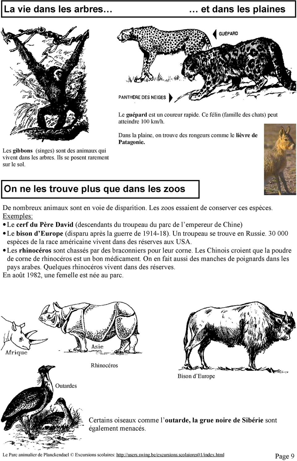 Les zoos essaient de conserver ces espèces. Exemples: Le cerf du Père David (descendants du troupeau du parc de l empereur de Chine) Le bison d Europe (disparu après la guerre de 1914-18).
