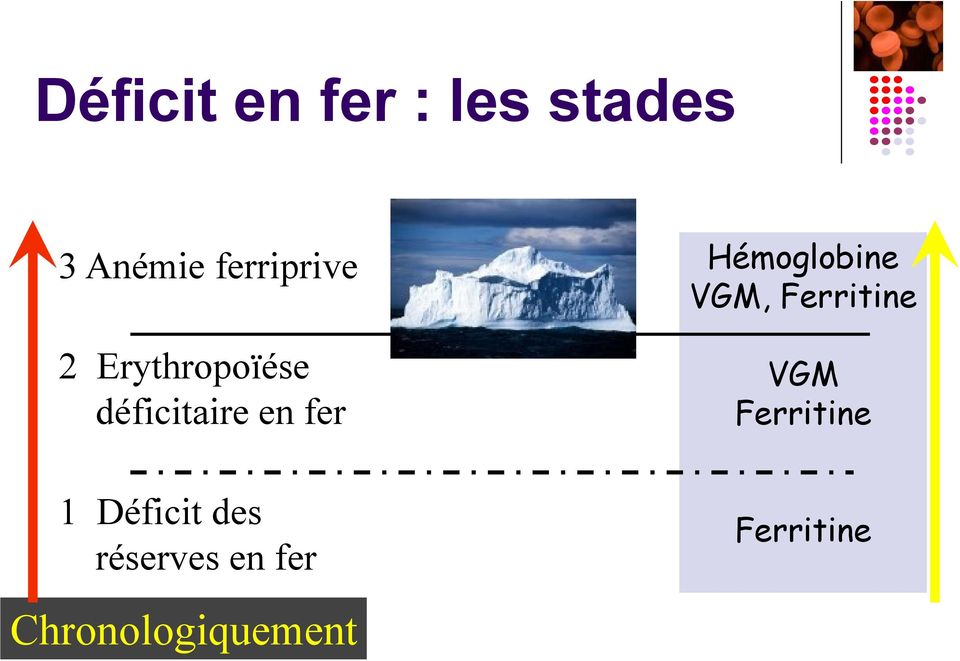 Hémoglobine VGM, Ferritine VGM Ferritine 1