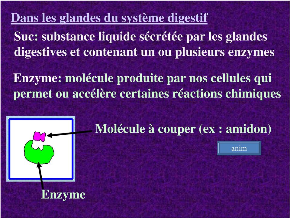 enzymes Enzyme: molécule produite par nos cellules qui permet ou