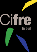 Organisation des Dispositif né en 2013 Réservé aux doctorants brésiliens Disciplines des sciences et techniques