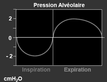Variation de la pression alvéolaire : Variations du volume respiratoire: Le volume respiratoire augmente lors de l inspiration jusqu à atteindre le volume courant ou le VT