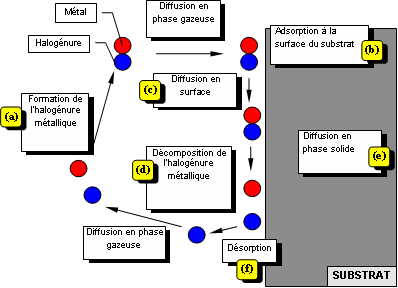 Chapitre I : Bibliographie générale Figure I : Processus mis en jeu lors de la cémentation activée dans le cas de la formation d'un film par diffusion A la surface du substrat, les réactions