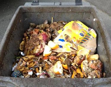 Taux de Recyclage Résidentiel Ville de Vancouver Collecte déchets bi-hebdo Collecte