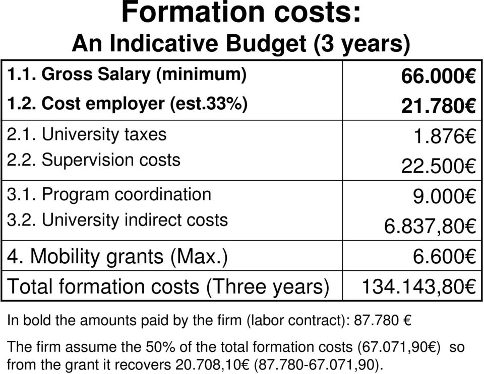 Mobility grants (Max.) 6.600 Total formation costs (Three years) 134.