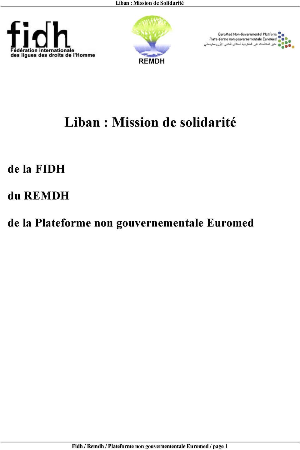 gouvernementale Euromed Fidh / Remdh /
