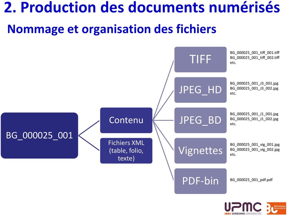 BG_000025_001 Contenu Fichiers XML (table, folio, texte) JPEG_BD Vignettes BG_000025_001_J1_001.