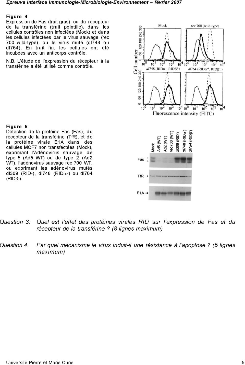 L étude de l expression du récepteur à la transférine a été utilisé comme contrôle.