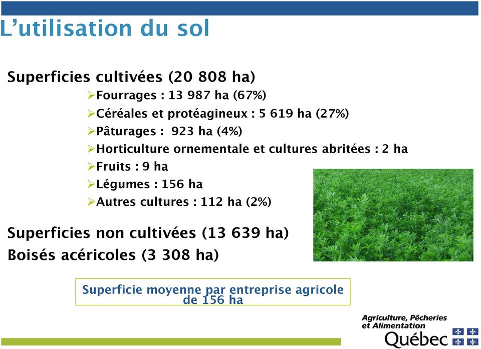 Horticulture ornementale et cultures abritées : 2 ha! Fruits : 9 ha! Légumes : 156 ha!