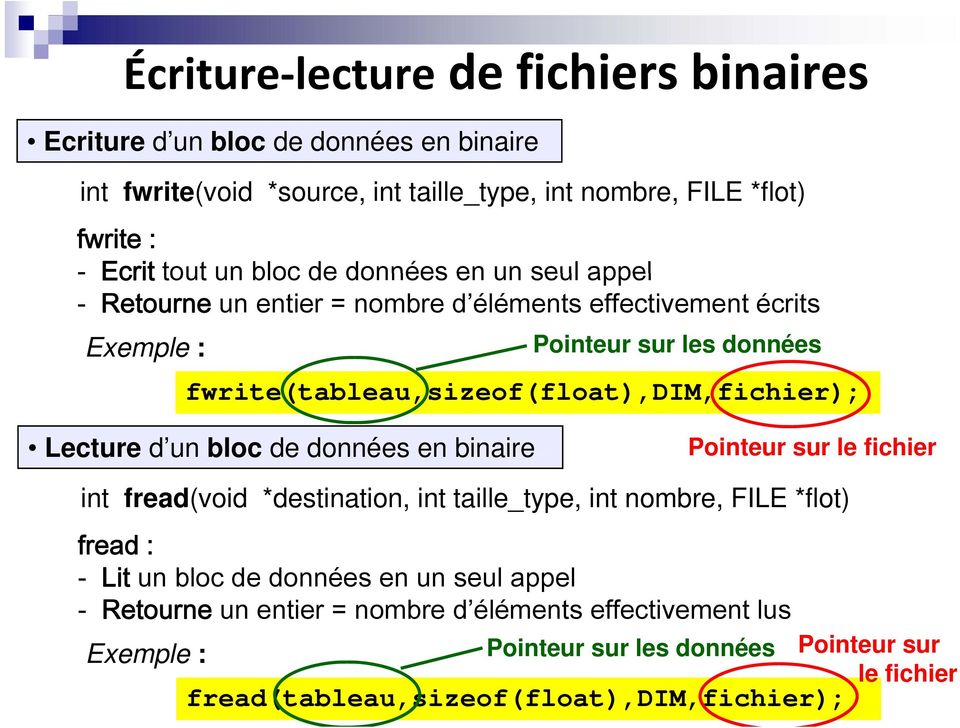 fwrite(tableau,sizeof(float),dim,fichier); Lecture d un dun bloc de données en binaire Pointeur sur le fichier int fread(void *destination, int taille_type, int nombre, FILE