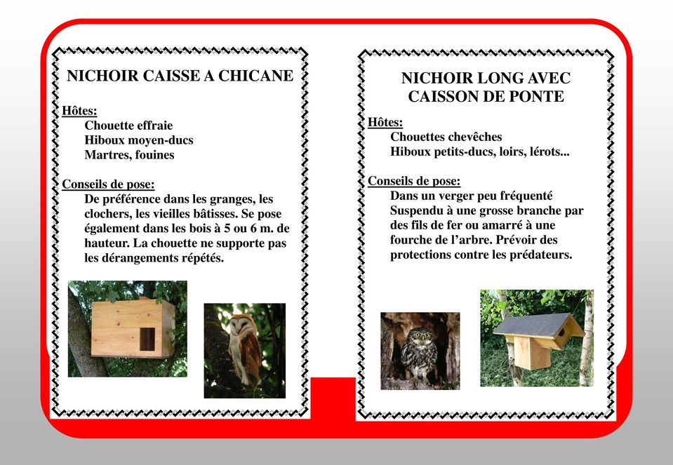 NICHOIR LONG AVEC CAISSON DE PONTE Chouettes chevêches Hiboux petits-ducs, loirs, lérots.