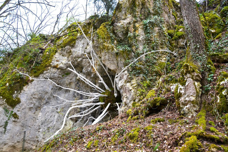 Rallye 2016 Jardin botanique de Neuchâtel Land Art Quand on fait du Land Art, on utilise des matériaux naturels comme des branches ou des feuilles d arbres pour fabriquer des œuvres d art.