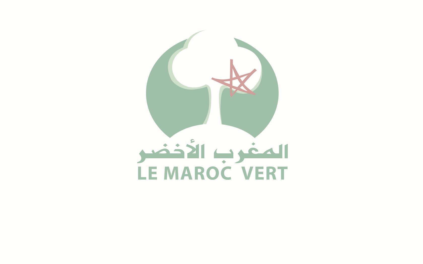Plan Maroc Vert Adoption d approches transactionnelles autour de projets de développement concrets (agrégation, reconversion, intensification, diversification de production) Développement de l
