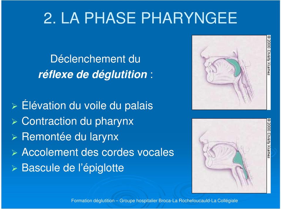 Contraction du pharynx Remontée du larynx