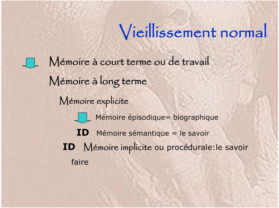 Mémoire épisodique= biographique Mémoire sémantique =