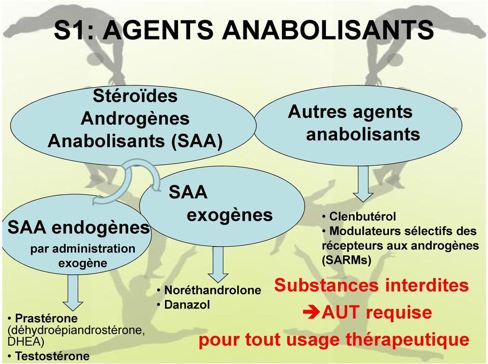 androgènes (SARMs) Substances interdites AUT requise pour tout usage thérapeutique