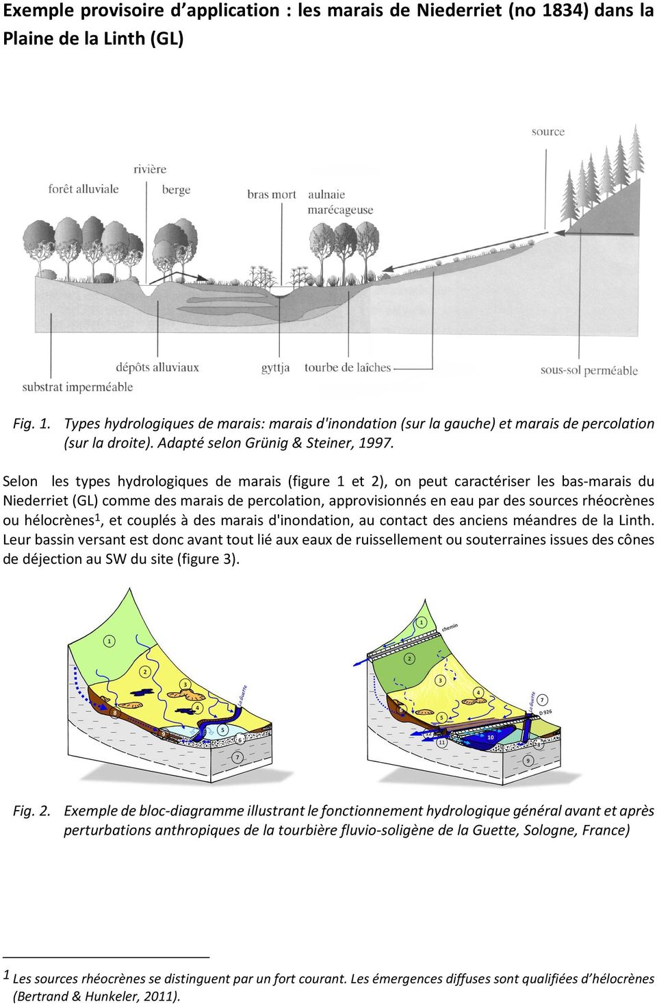 Selon les types hydrologiques de marais (figure 1 et 2), on peut caractériser les bas-marais du Niederriet (GL) comme des marais de percolation, approvisionnés en eau par des sources rhéocrènes ou