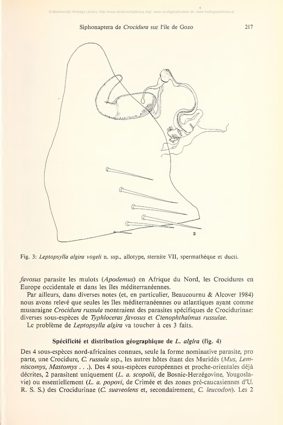Par ailleurs, dans diverses notes (et, en particulier, Beaucournu & Alcover 1984) nous avons relevé que seules les íles méditerranéennes ou atlantiques ayant comme musaraigne Crocidura russula