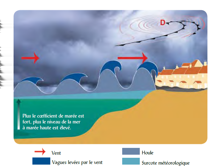 Le niveau de la mer Le niveau de la mer est influencé par: Le niveau statique de la marée (coefficient de marée) Le passage d une tempête: La surcote