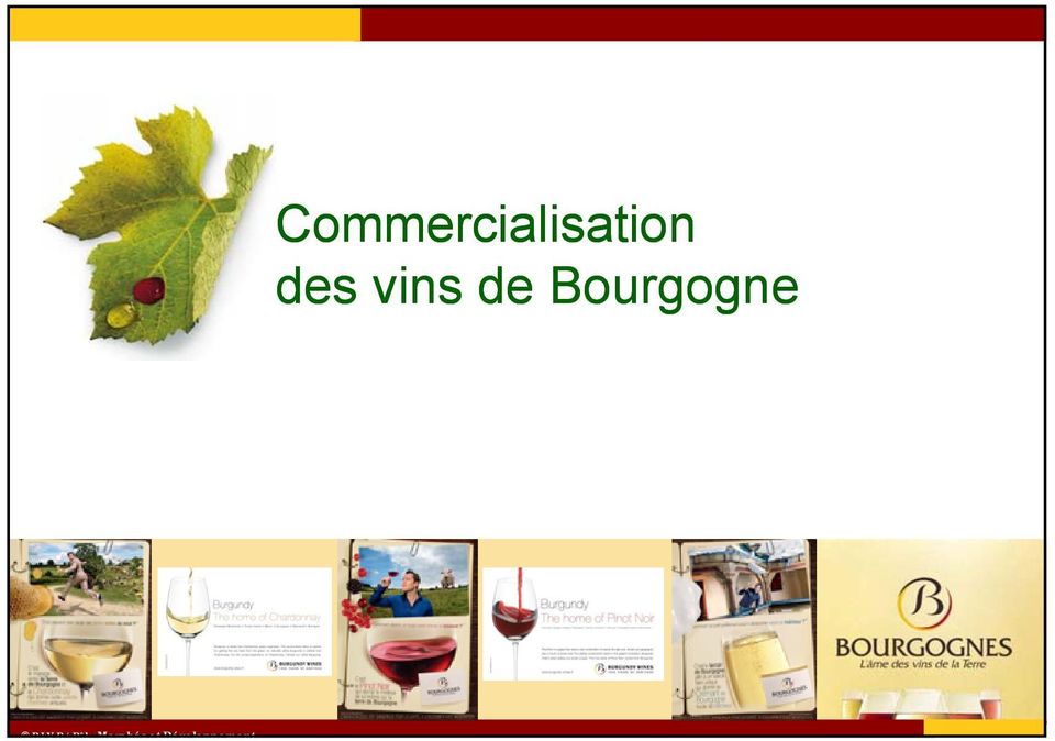 Bourgogne BIVB/