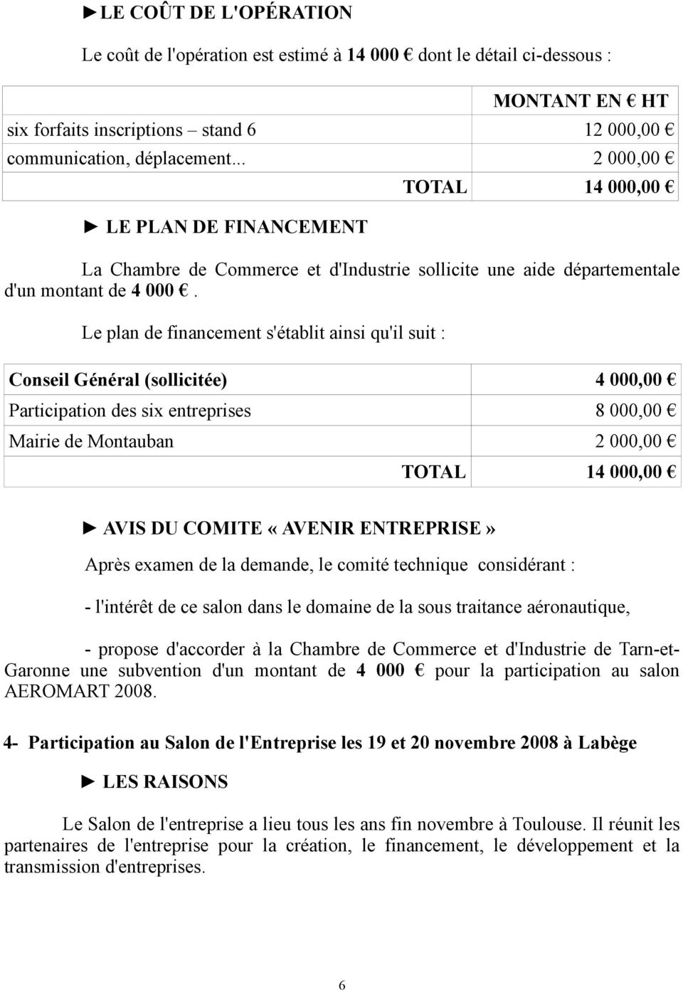 Le plan de financement s'établit ainsi qu'il suit : Conseil Général (sollicitée) 4 000,00 Participation des six entreprises 8 000,00 Mairie de Montauban 2 000,00 TOTAL 14 000,00 AVIS DU COMITE