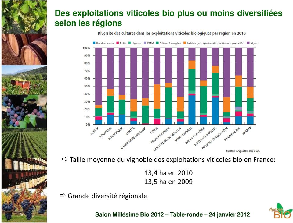 vignoble des exploitations viticoles bio en France: