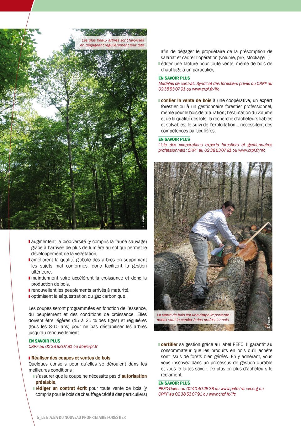 fr/ifc confier la vente de bois à une coopérative, un expert forestier ou à un gestionnaire forestier professionnel, même pour le bois de trituration ; l estimation du volume et de la qualité des