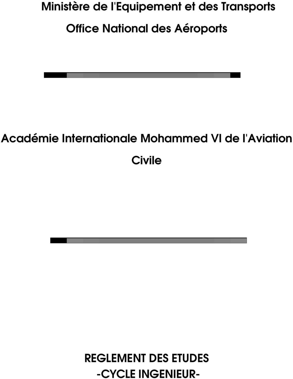 Académie Internationale Mohammed VI de